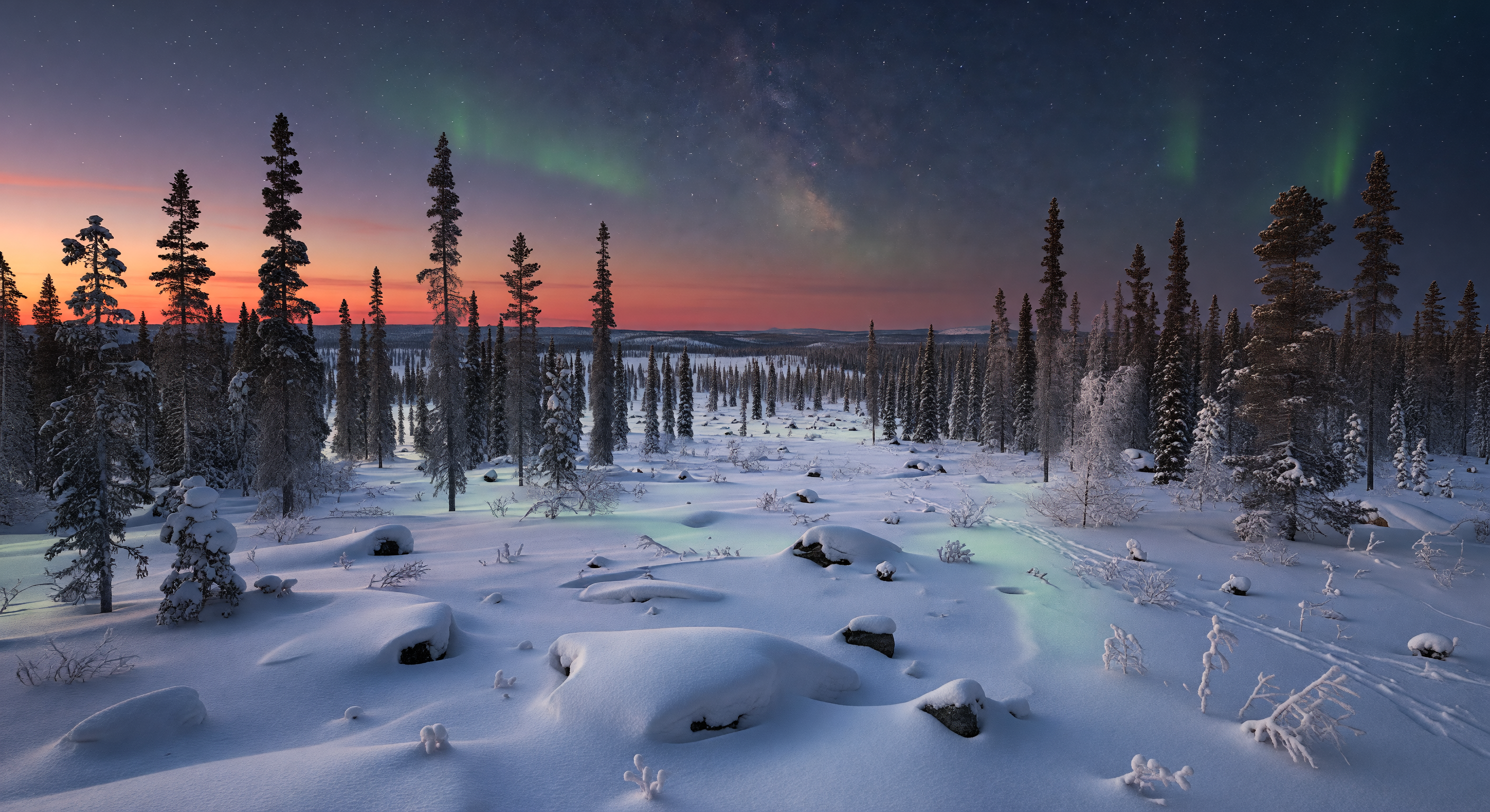 Boreal Forest with Aurora at Twilight