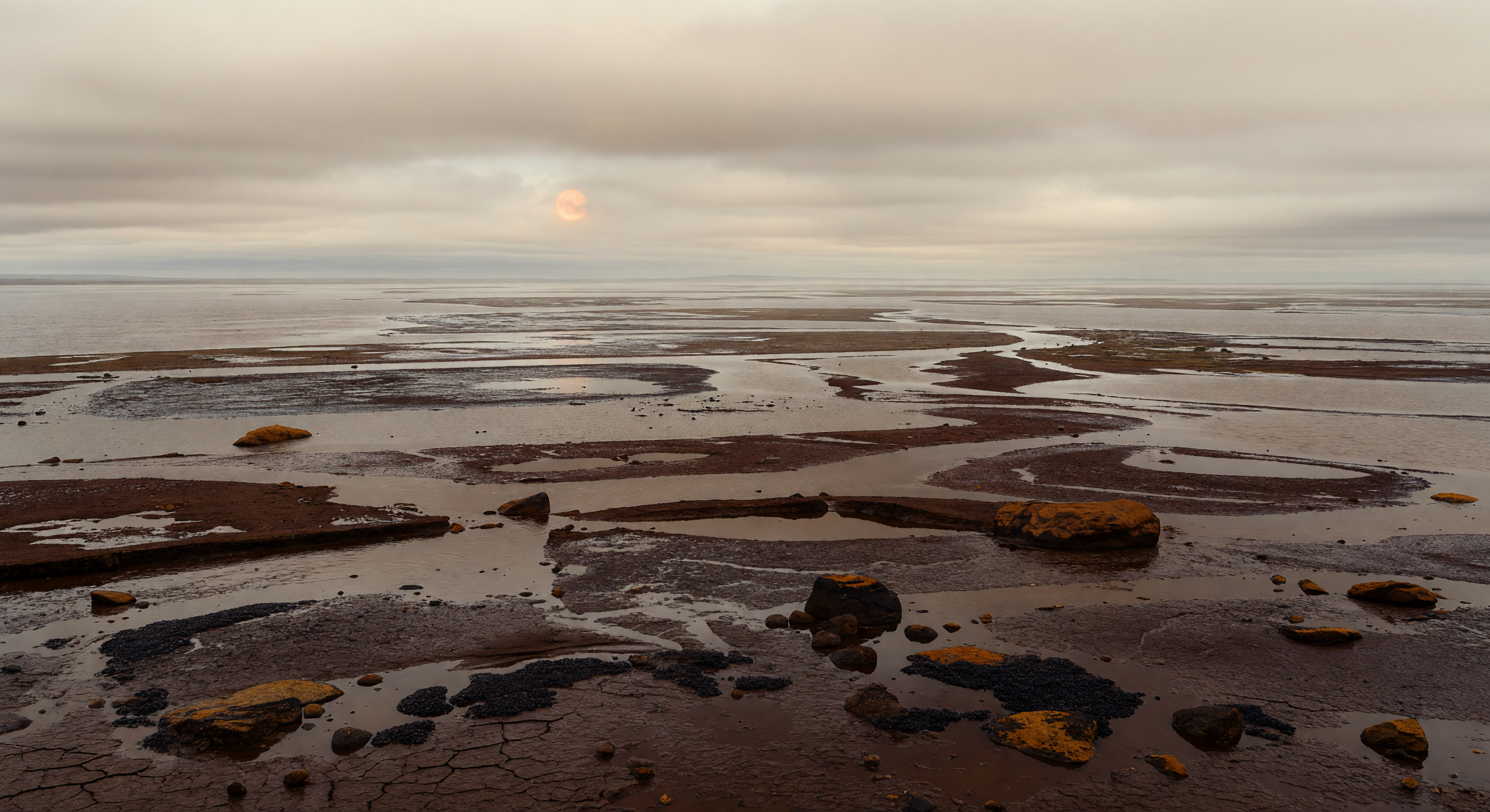 Marsh of Inland Seas
