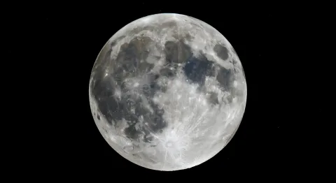 Mond